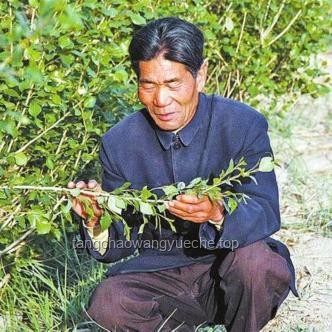 停更快月，我在甘肃民勤升级治沙人住所：打造防风抗寒新家园